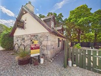 established guest house thriving - 2