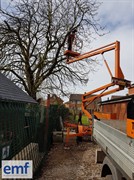 established tree surgery business - 1