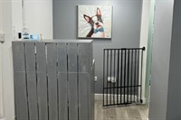 dog grooming salon dorset - 3