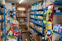 established pet aquarium shop - 2