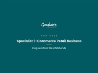automotive merchandise e-commerce business - 1