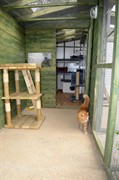 boarding cattery licensed for - 3