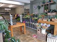 highly respected florist - 3