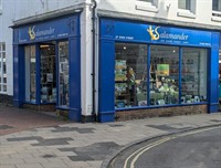 successful independent town centre - 1