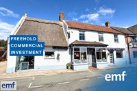 freehold commercial investment - 1