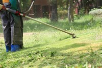landscaping maintenance business - 2