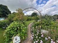 beautiful freehold garden nursery - 1