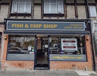 ultra modern fish chip - 1