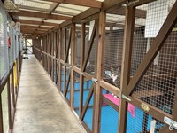 cattery - 2