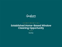 established window cleaning business - 1