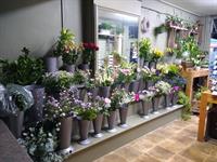 highly respected florist - 2