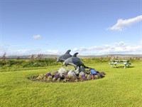 inchrye bed breakfast - 3