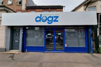 dog grooming salon dorset - 1