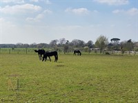 plot of land gravesend - 1