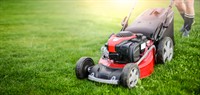 established garden maintenance landscaping - 2