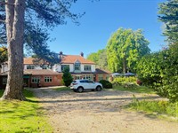 escape to the forest - 1