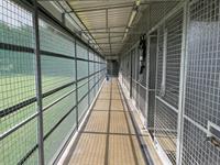 luxury kennels cattery with - 2