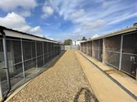 luxury kennels cattery with - 1