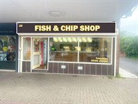 modern attractive fish chip - 1