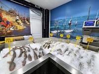 seafood frozen fish cold - 3