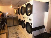 well-established launderette plus delivery - 1