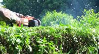 well-established property care business - 2