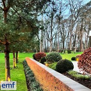 established landscaping business with - 3