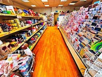 old established discount store - 1