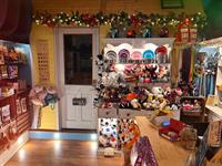established pet boutique grooming - 2