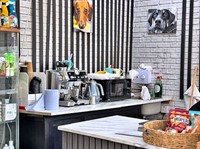 pet supplies dog grooming - 2