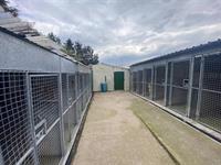 kennels cattery colne - 3