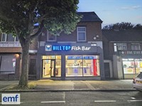 established traditional fish chip - 1
