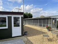 luxury kennels cattery with - 3