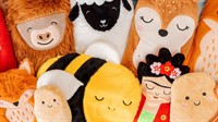 award-winning ecommerce brand specialising - 1