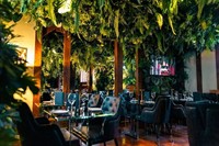 substantial restaurant bar - 1