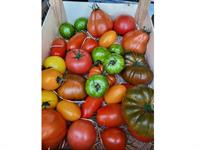 fresh opportunity thriving fruit - 2