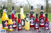 niche non-alcoholic drinks manufacturer - 1