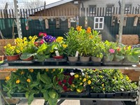 popular whoelsaler retailer county - 3
