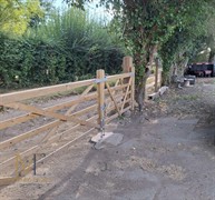 land paddocks stables ashford - 3