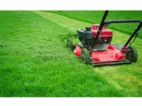highly rated garden services - 1