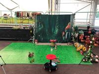 where magic comes alive - 1