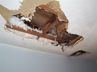 established damp timber business - 2
