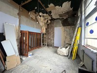 commercial property regenerated heart - 3