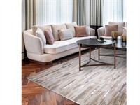 well established rug retailer - 2