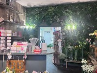 old established florist - 1