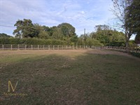 land paddocks stables ashford - 2