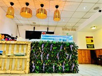 nature s best ready - 3