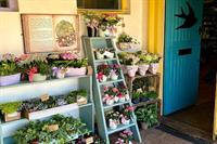 floristry business hampshire - 3