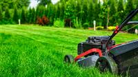 profitable gardening landscaping business - 3