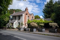 established pub lewes - 1